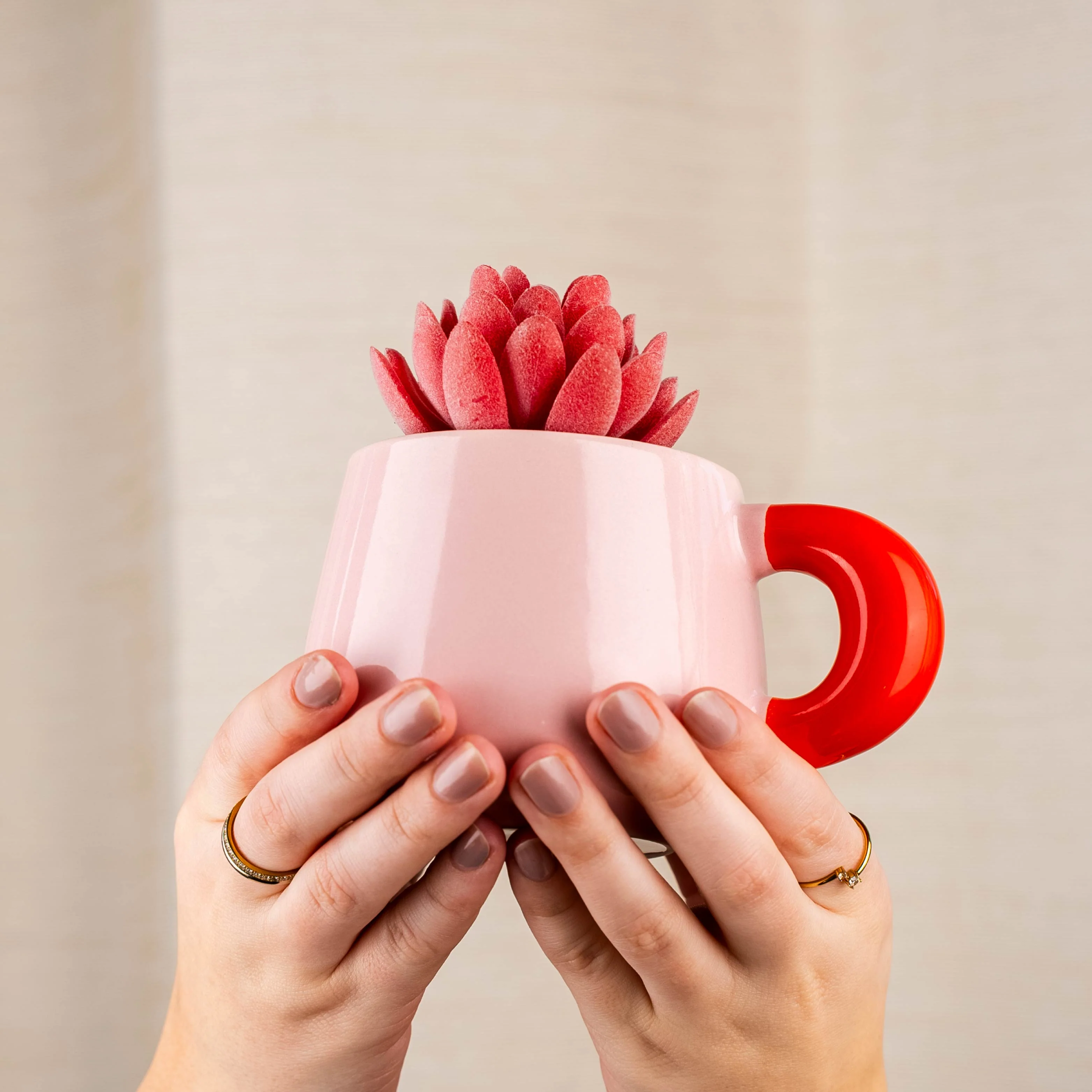 Magnet-Henkel-Potts SUMMERSORBET - Image 10
