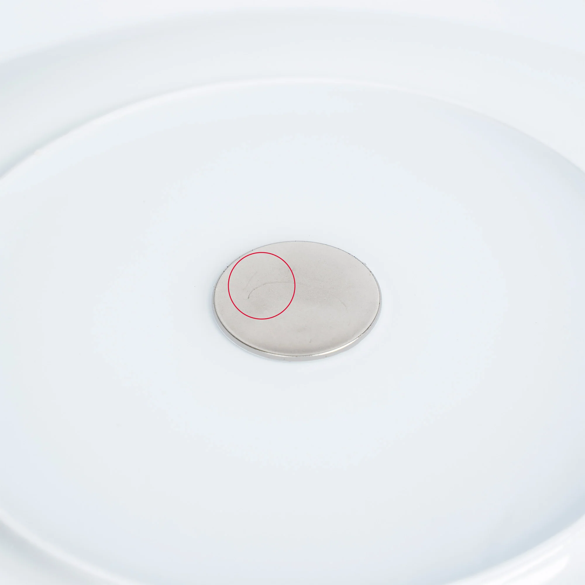 Zweite Wahl: Magnet-Porzellanteller ⌀ 26 cm - Image 3